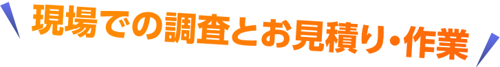 現場での調査とお見積もり・作業